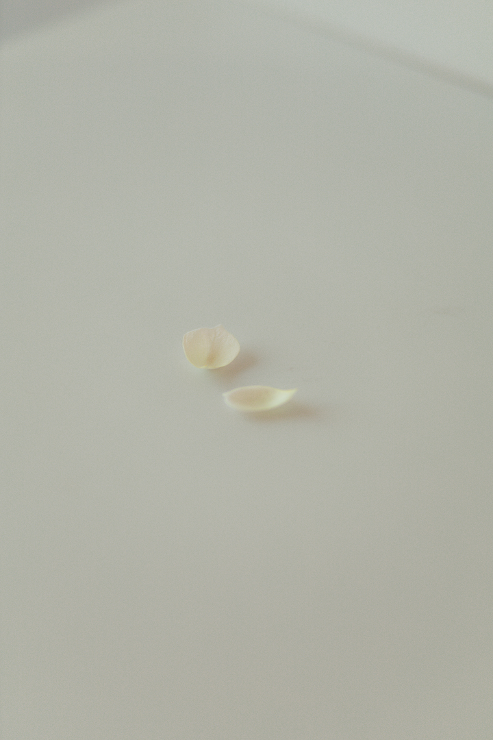GotesWeb-08