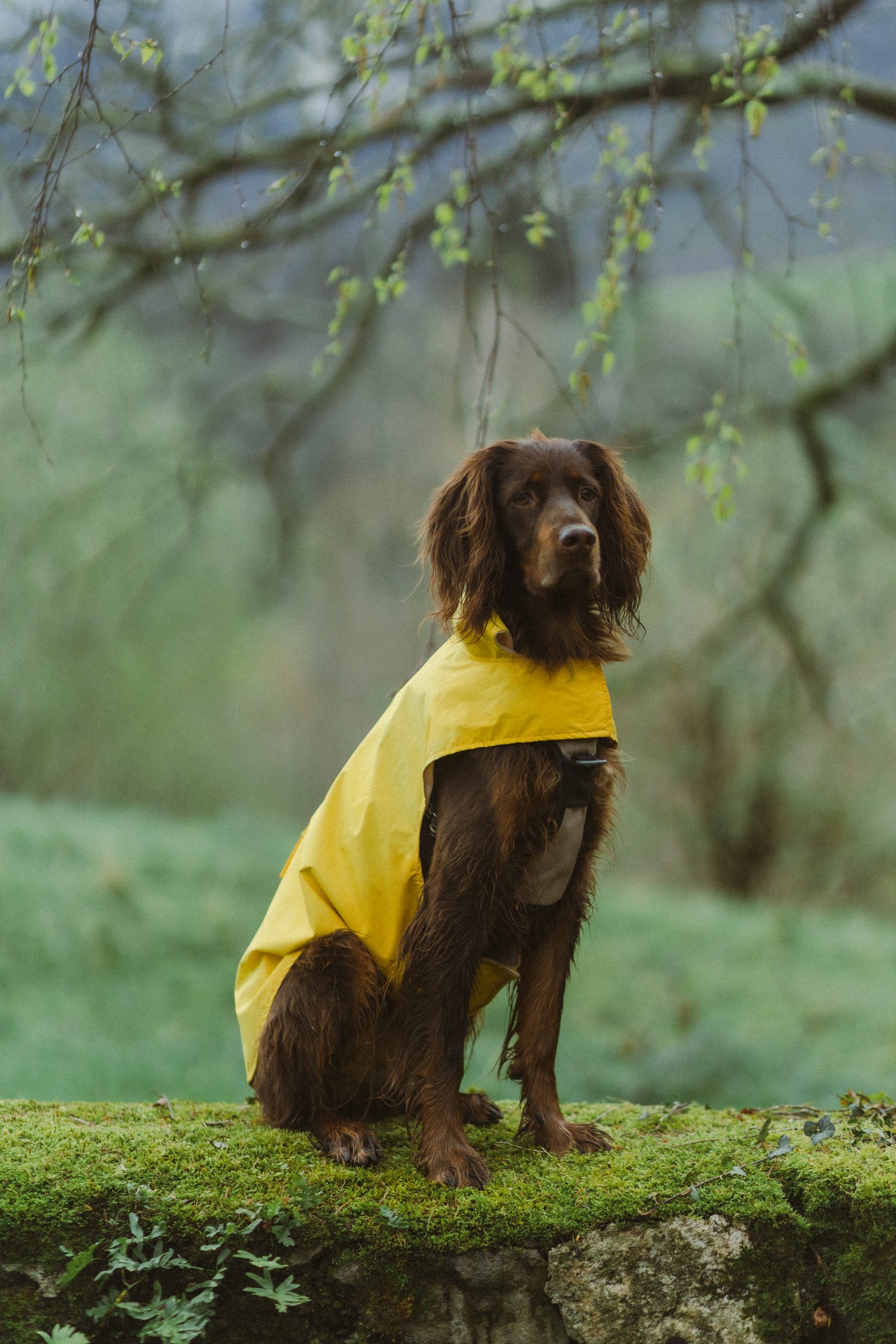 IMG_4786